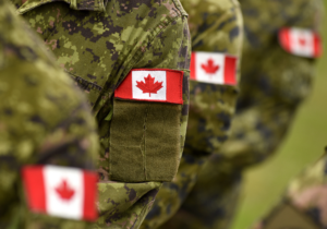 Canadian Armed Forces Transition Group